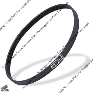 WH01X24180CM-Belt