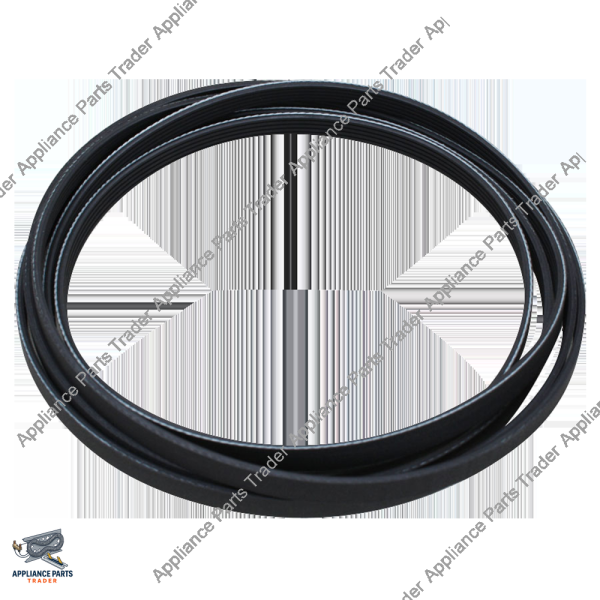 6602-001655CM-Belt