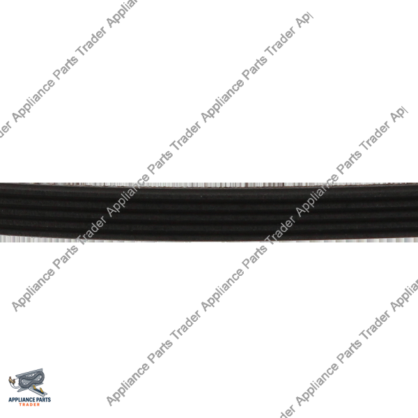 6602-001655CM-Belt