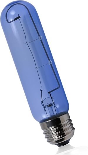 51ypI9clULL-_AC_SL1500_.jpg 7006999-BLUE GLASS BULB-JA