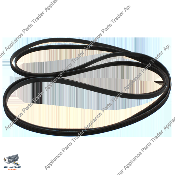 312959CM-Belt WPY312959