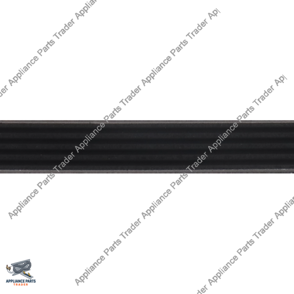 312959CM-Belt WPY312959