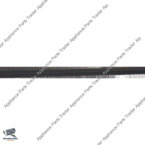312959CM-Belt WPY312959